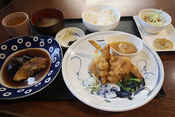 キャンペーンセットB(ライト)